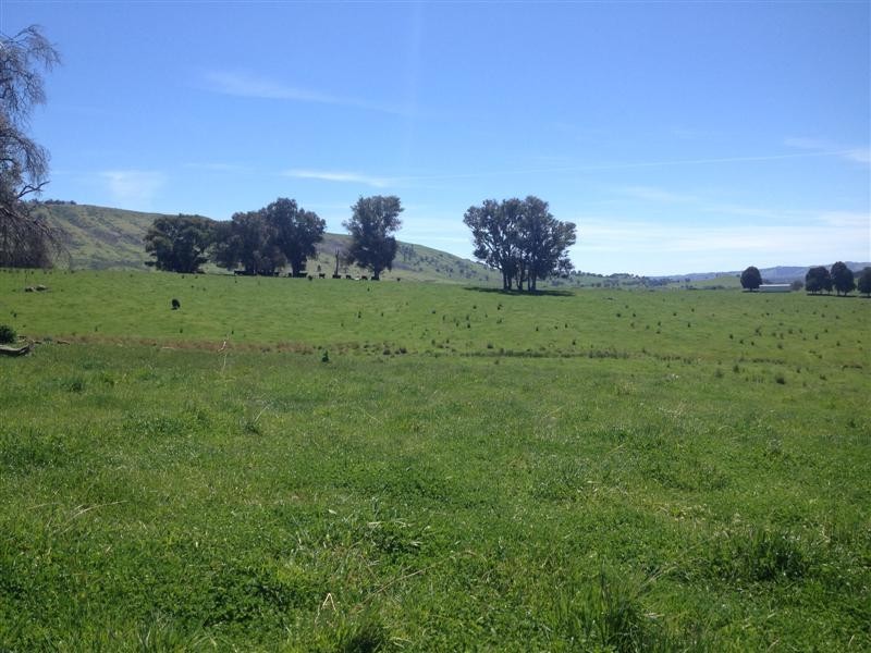 1530 Yaven Creek Road, Adelong NSW 2729