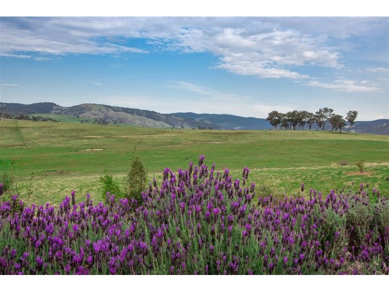 3/13 Grevillea Place, Tumut NSW 2720