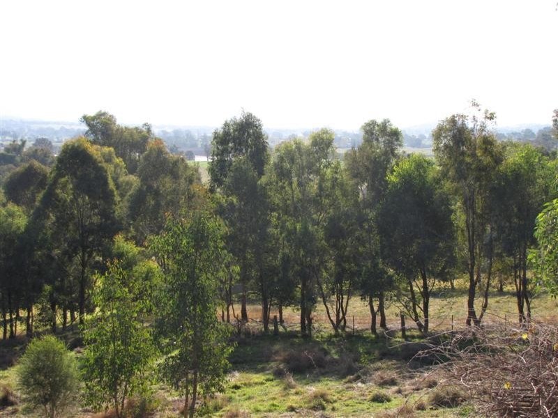 1139 Blowering Road, Tumut NSW 2720