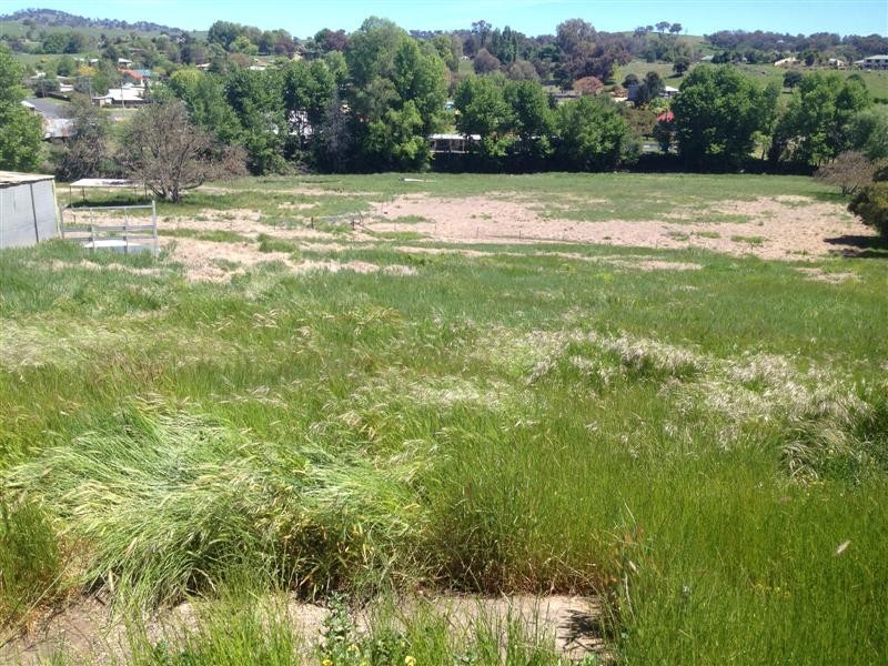 2/43 Victoria Hill Road, Adelong NSW 2729