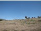 - Tumbalong Road Via, Adelong NSW 2729