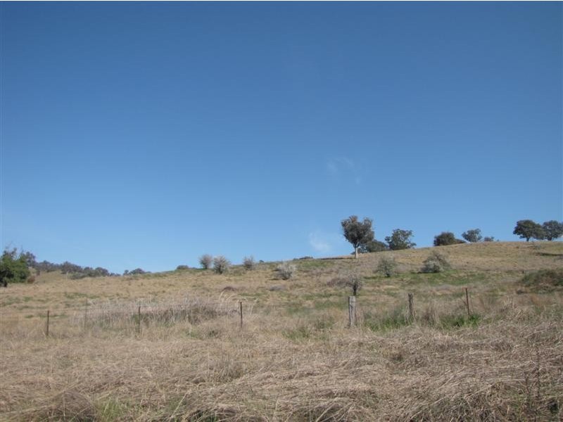 - Tumbalong Road Via, Adelong NSW 2729
