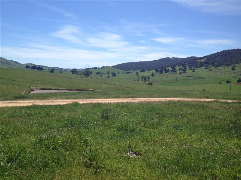 1530 Yaven Creek Road, Adelong NSW 2729