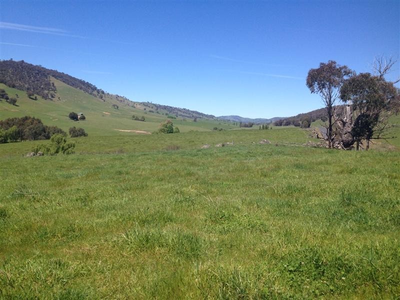 1530 Yaven Creek Road, Adelong NSW 2729