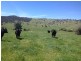 1530 Yaven Creek Road, Adelong NSW 2729