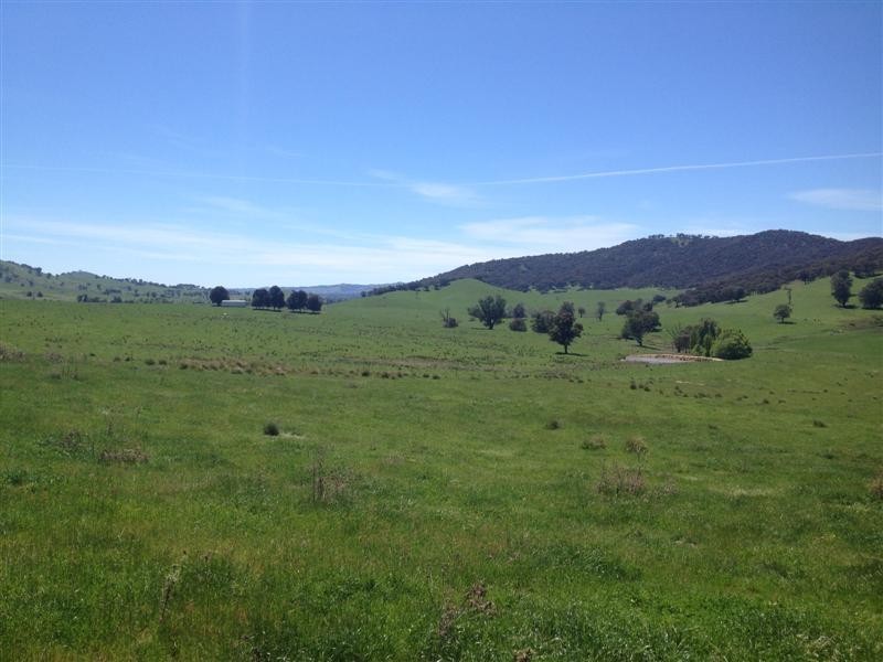1530 Yaven Creek Road, Adelong NSW 2729