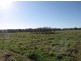 169 Butlers Lane Bombowlee Via, Tumut NSW 2720