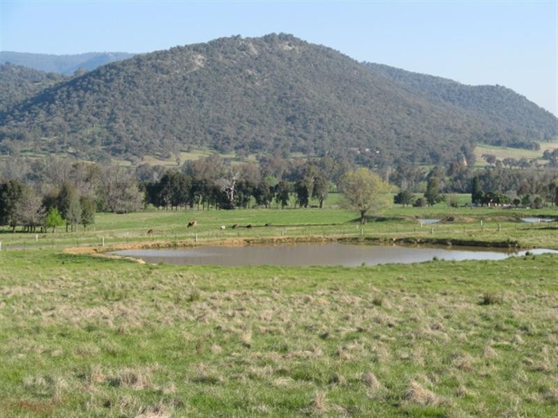 Lot 202/ Argalong Road, Tumut NSW 2720