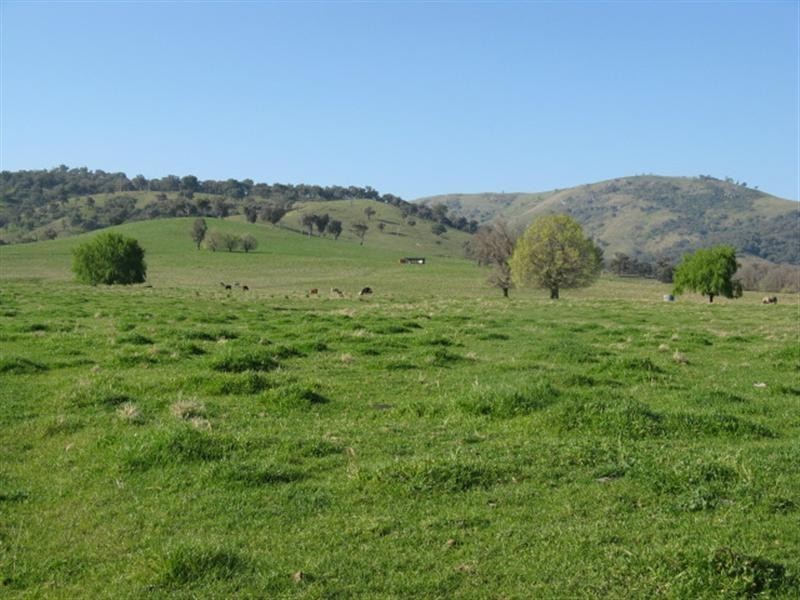 Lot 202/ Argalong Road, Tumut NSW 2720