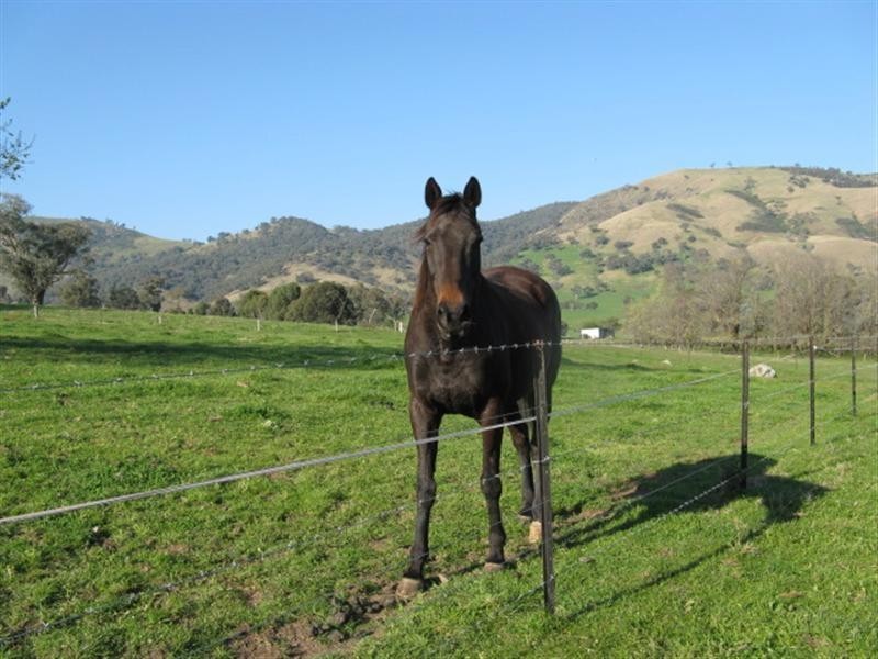 Lot 202/ Argalong Road, Tumut NSW 2720