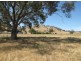 Lots 2, 3 – 10 Adams Street, Brungle NSW 2722