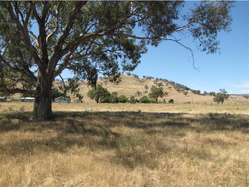 Lots 2, 3 – 10 Adams Street, Brungle NSW 2722