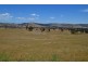 “Ellerslie” Yaven Creek, Adelong NSW 2729