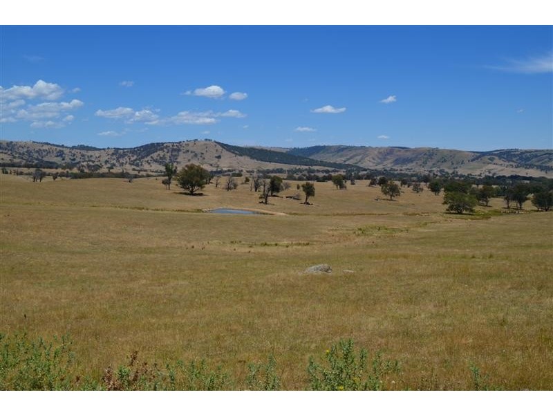 “Ellerslie” Yaven Creek, Adelong NSW 2729