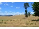 “Ellerslie” Yaven Creek, Adelong NSW 2729