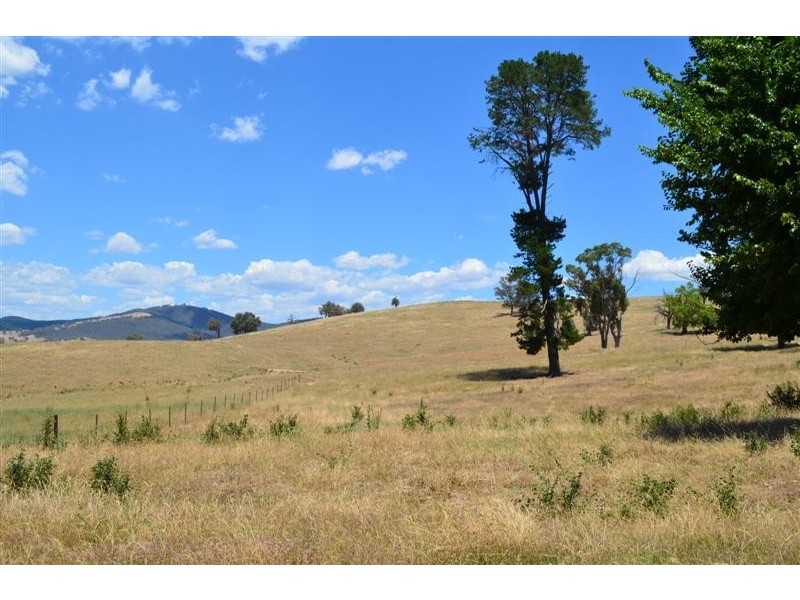 “Ellerslie” Yaven Creek, Adelong NSW 2729