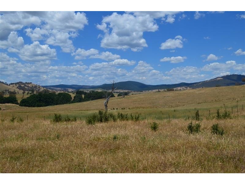 “Ellerslie” Yaven Creek, Adelong NSW 2729