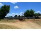 “Ellerslie” Yaven Creek, Adelong NSW 2729