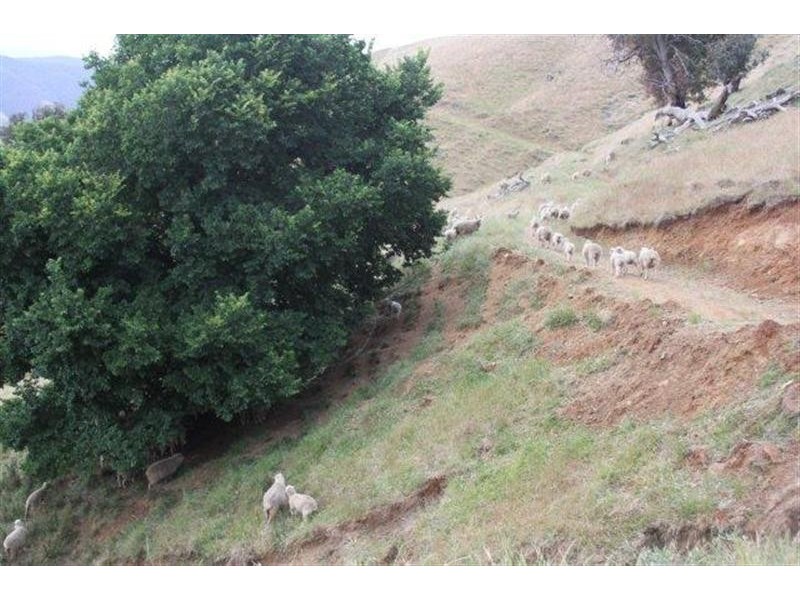 Lot 21 West Gilmore Road, Tumut NSW 2720