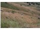 Lot 21 West Gilmore Road, Tumut NSW 2720