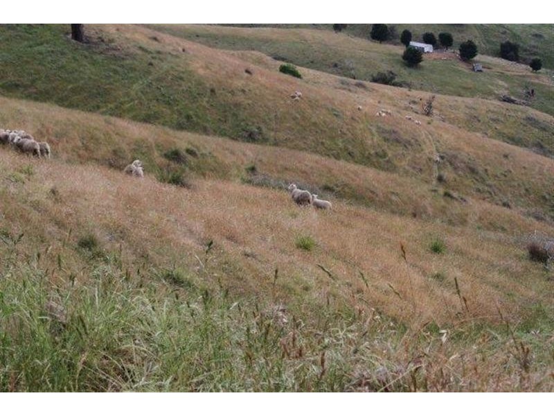 Lot 21 West Gilmore Road, Tumut NSW 2720