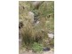 Lot 21 West Gilmore Road, Tumut NSW 2720