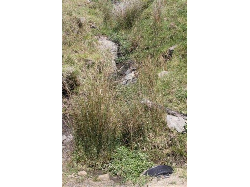 Lot 21 West Gilmore Road, Tumut NSW 2720