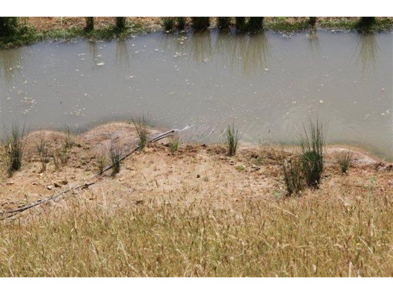 Lot 21 West Gilmore Road, Tumut NSW 2720