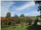 “JINDALEE” Cottams Road, Batlow NSW 2730