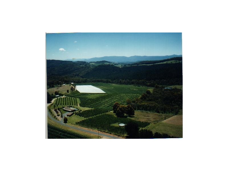 “JINDALEE” Cottams Road, Batlow NSW 2730