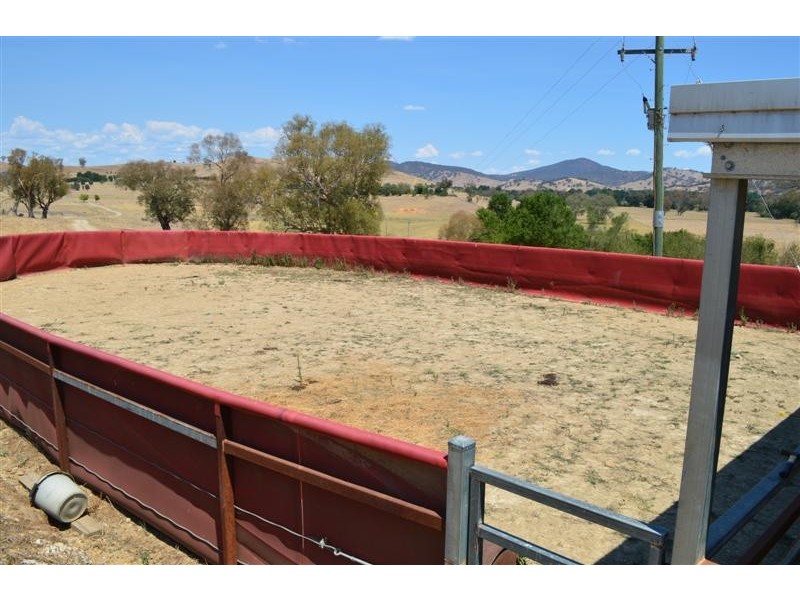 233 Nimbo Road, Brungle NSW 2722