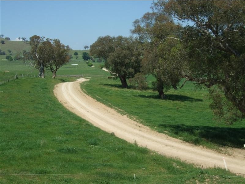 233 Nimbo Road, Brungle NSW 2722