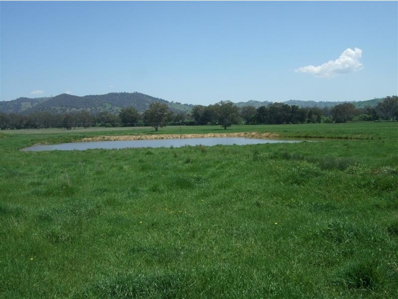 233 Nimbo Road, Brungle NSW 2722