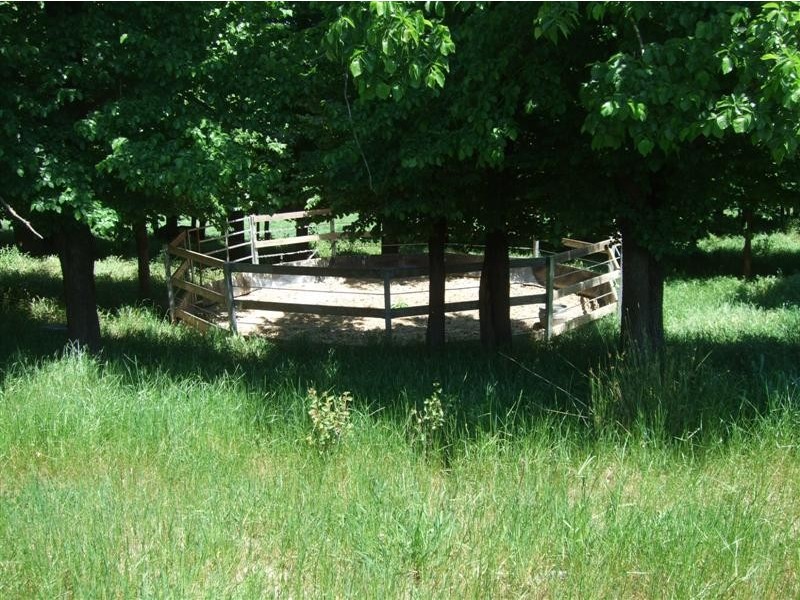 233 Nimbo Road, Brungle NSW 2722