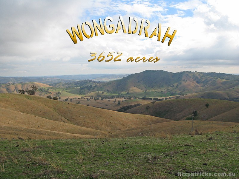 4098 Snowy Mountains Highway, Mount Adrah NSW 2729
