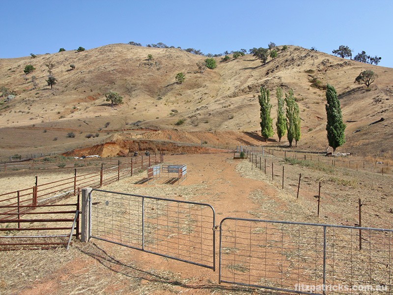4098 Snowy Mountains Highway, Mount Adrah NSW 2729