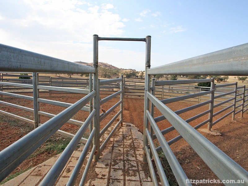 4098 Snowy Mountains Highway, Mount Adrah NSW 2729