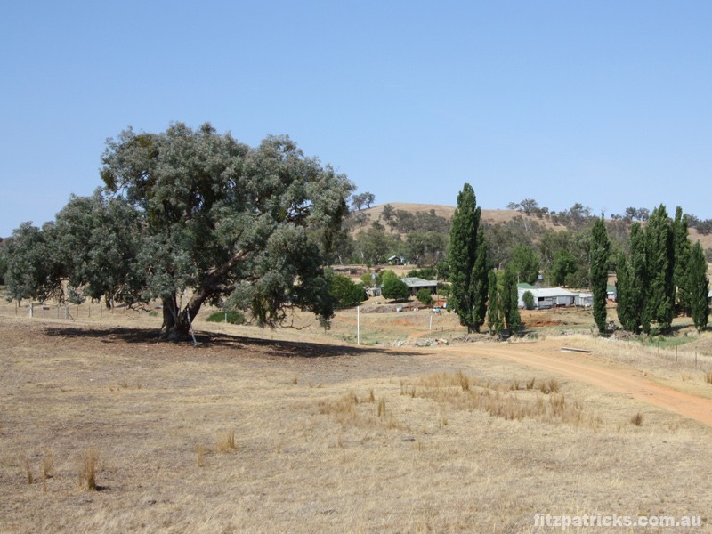 4098 Snowy Mountains Highway, Mount Adrah NSW 2729