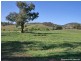 4098 Snowy Mountains Highway, Mount Adrah NSW 2729