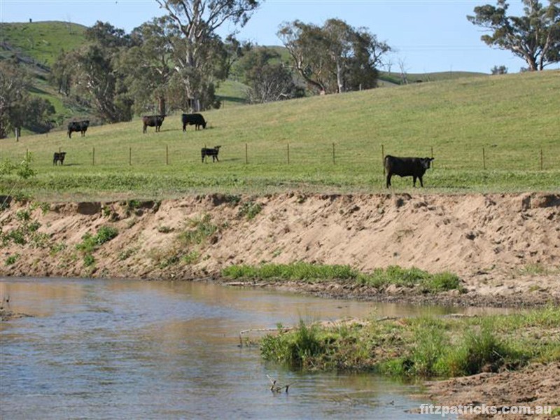 4098 Snowy Mountains Highway, Mount Adrah NSW 2729