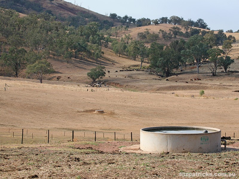 4098 Snowy Mountains Highway, Mount Adrah NSW 2729