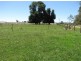 658 Tumut Plains Road, Tumut Plains NSW 2720