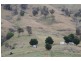 Lot 21 West Gilmore Road, Tumut NSW 2720
