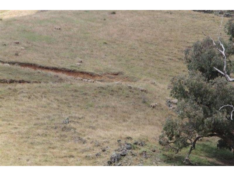 Lot 21 West Gilmore Road, Tumut NSW 2720