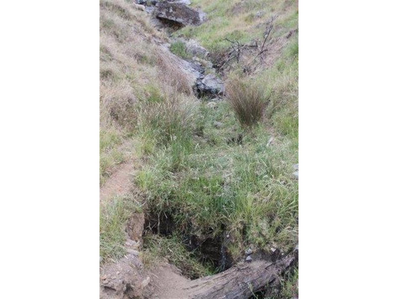 Lot 21 West Gilmore Road, Tumut NSW 2720