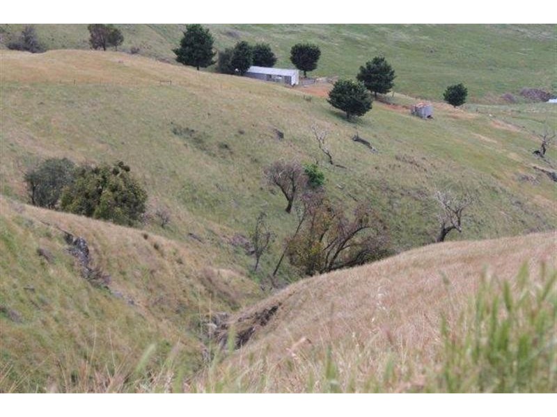 Lot 21 West Gilmore Road, Tumut NSW 2720