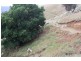 Lot 21 West Gilmore Road, Tumut NSW 2720
