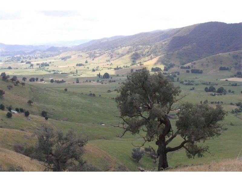 Lot 21 West Gilmore Road, Tumut NSW 2720