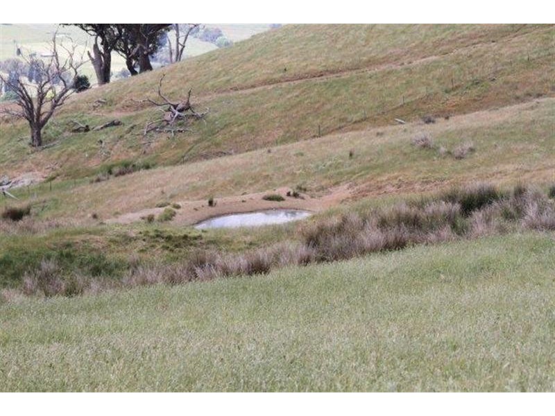 Lot 21 West Gilmore Road, Tumut NSW 2720
