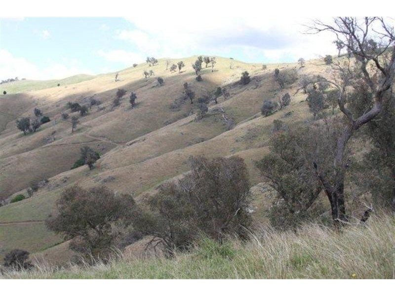 Lot 21 West Gilmore Road, Tumut NSW 2720
